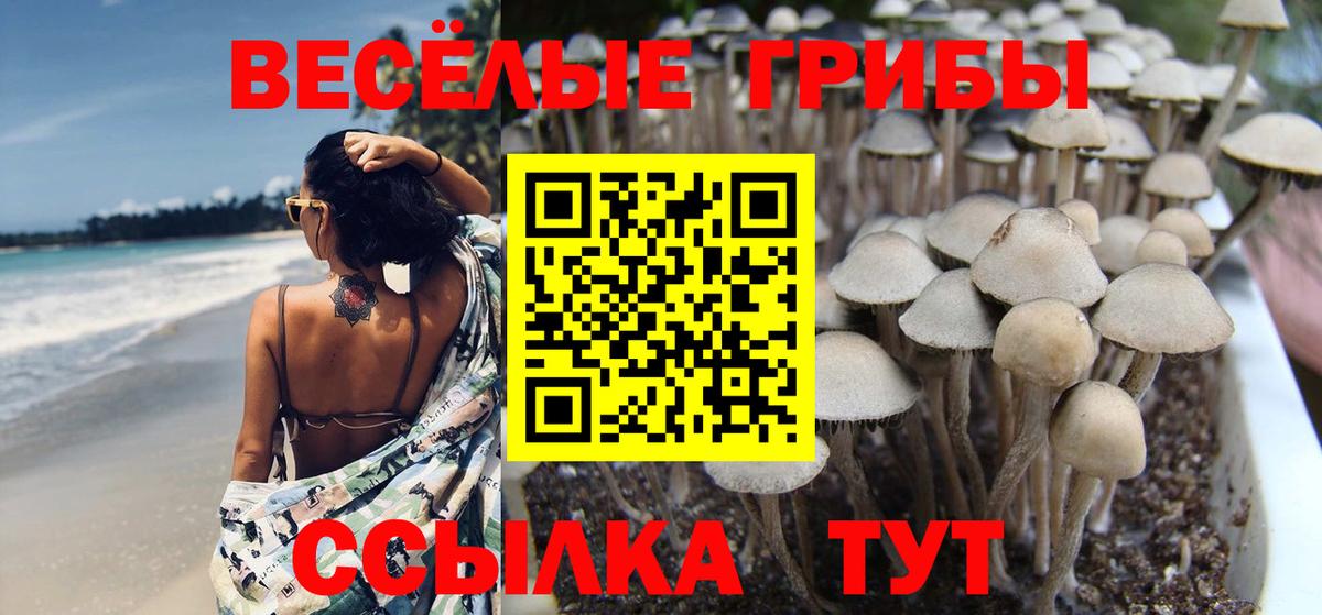 Галлюциногенные грибы Psilocybe  Галлюциногенные грибы Psilocybine cubensis  Вход с VPN  Клин 